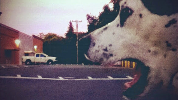 Cover photo