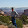 joe kromph joe kromph's profile photo
