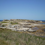 Bare Island (4767)