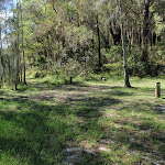 Campsites beside trees