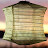 Dennis Johnson avatar image