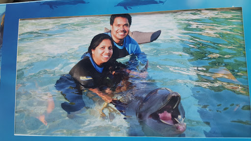 Aquarium «Dolphin Harbor», reviews and photos, 4400 Rickenbacker Causeway, Key Biscayne, FL 33149, USA