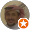 abosara احمد الشمري