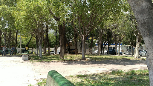 Radio Taxi, Calle Misión San Antonio 409, Residencial Plaza Guadalupe, Plaza Guadalupe, 45030 Zapopan, Jal., México, Taxis | JAL