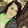Jamie Holt Jamie Holt's profile photo