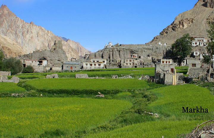 Markha