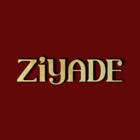 Ziyade Kebab & Burger logo