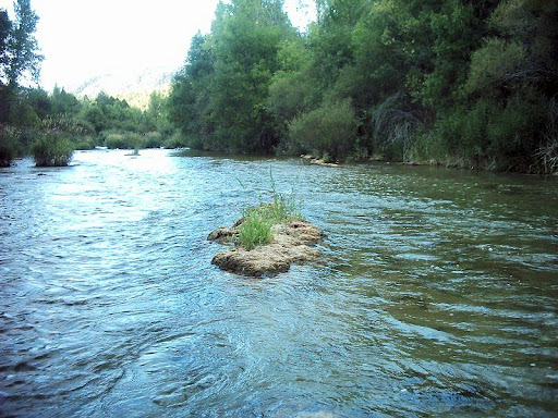 Río Tajo. Francisco Muela