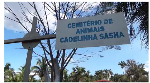 Cemitério de Animais Cadelinha Sasha, R. Dirce Oliveira, 3397 - Ininga, Teresina - PI, 64048-550, Brasil, Cemitrio_de_Animais, estado Piaui