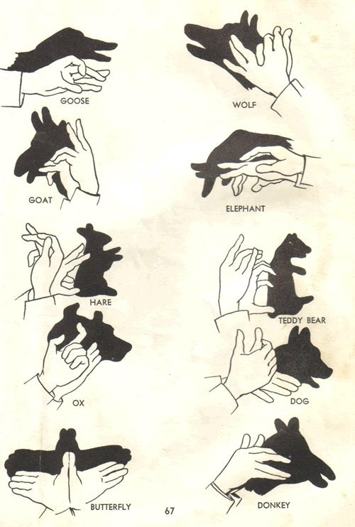 Shadow Puppet Guide