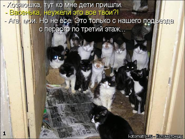 «Имеющий уши, да развесит...» часть 1. «Имеющий уши, да развесит...» часть 1.