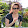 Helen White Helen White's profile photo