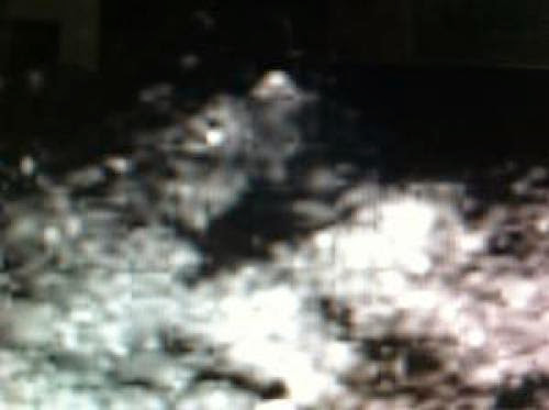 Ufology Strange Alien Structure Discovered On Moon With Face Of Lion Ufo Sighting News