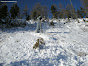 Avalanche Mercantour, secteur Isola 2000, "Gazex du Mercantour" - Photo 4 - © Service des Pistes Isola 2000