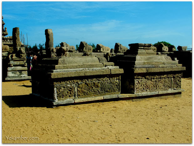 Carvings - Shore Temple Complex