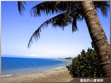 屏鵝公路海岸風光