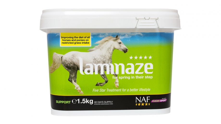 laminaze horse supplement