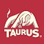 Alexander Taurus's user avatar