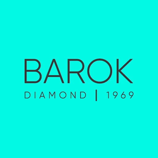 Barok Diamond Bakırköy Carousel AVM Şubesi logo