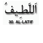 30.Al Latif