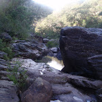 Track through Glenbrook Gorge (148179)