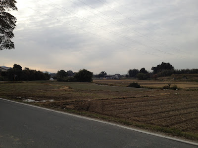 Road and rice fields
