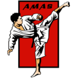 American Martial Arts Systems