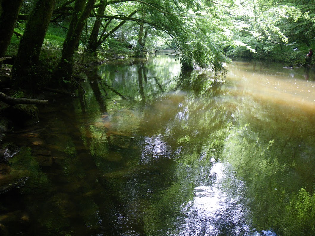 Sortie Corrèze juin 2016 IMGP6257