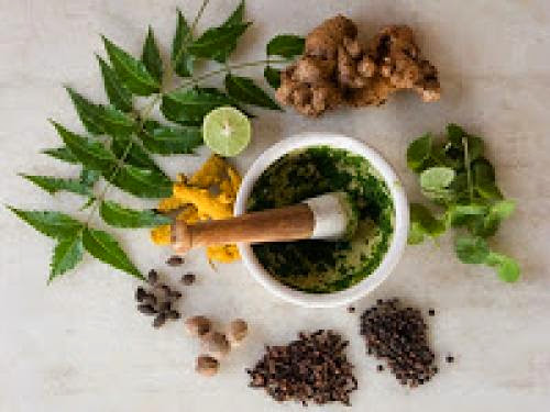 Magickal Correspondences Herbs Spices Plants And Foods