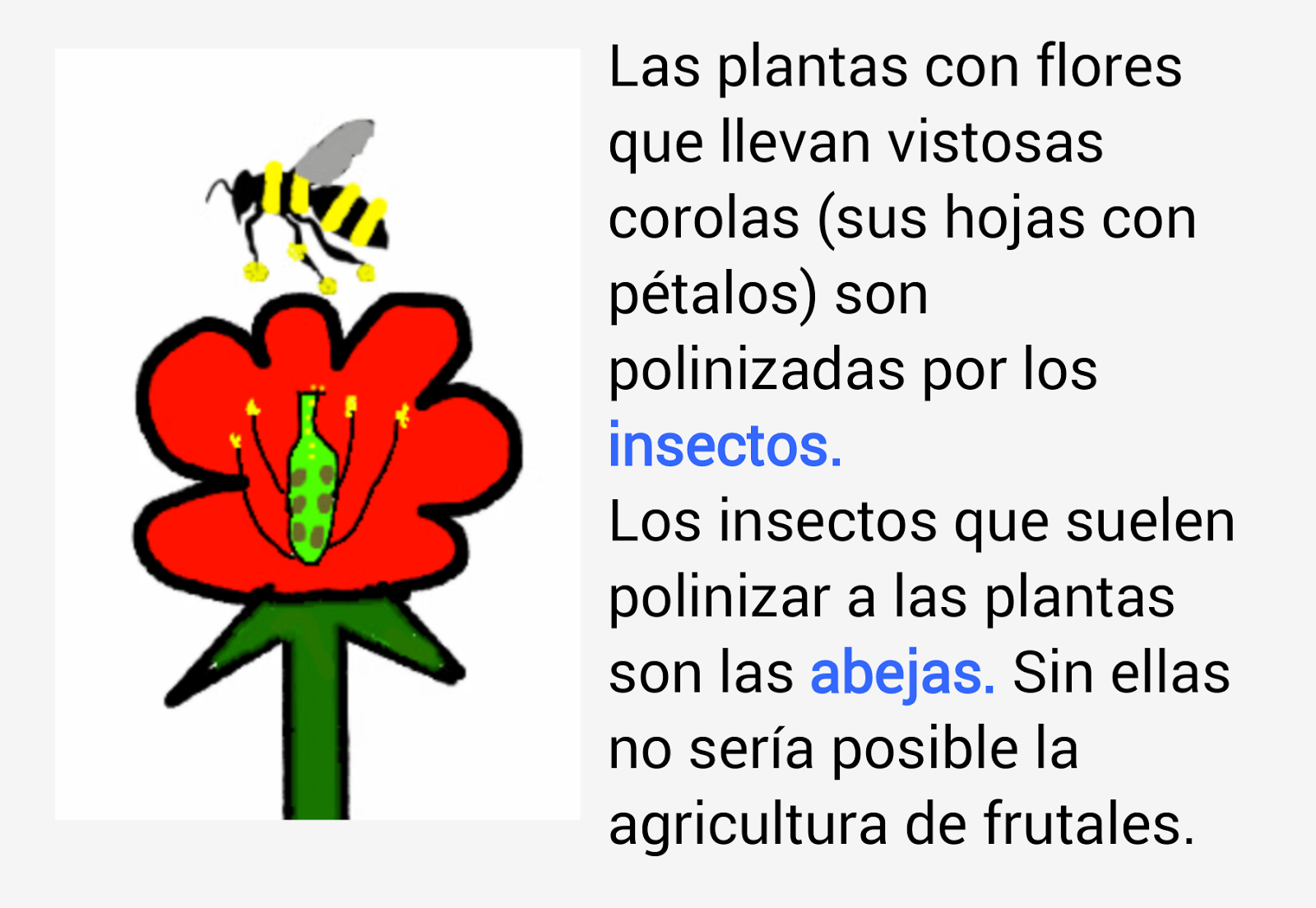 Dar Plaga Propiedad B. Plantas con flores - El Jardín de Los Botánicos