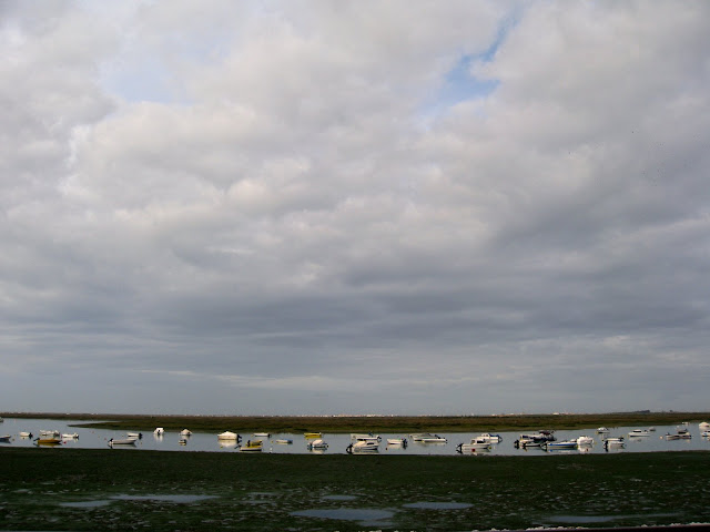 Boats in Faro Portugal