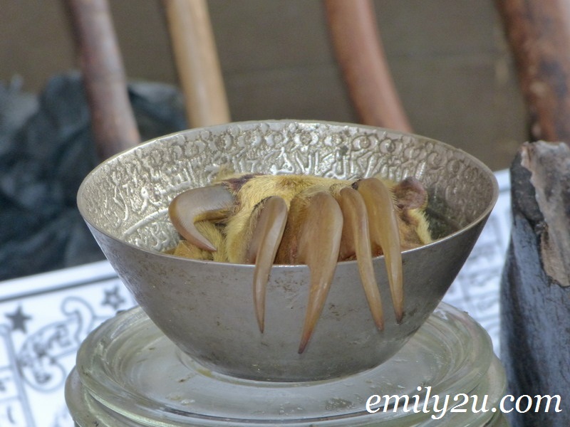 tiger’s claw Memory Lane Ipoh