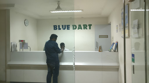 BLUE DART, No. A 12, Rohini Rainbow, 1st Cross East, Thillai Nagar, Tiruchirappalli, Tamil Nadu 620018, India, Delivery_Company, state TN
