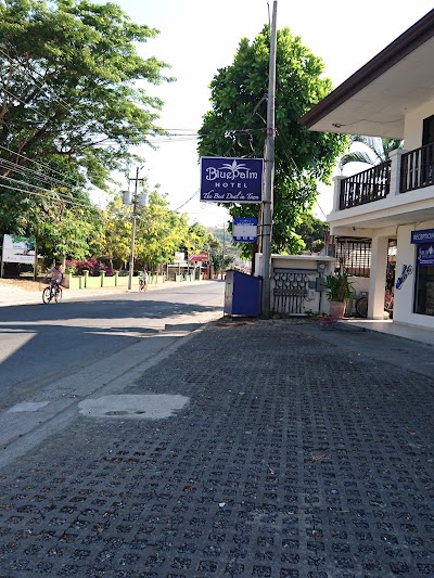 Photos of Blue Palm Hotel