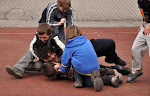 DSC_0236.JPG