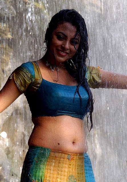 Meenakshi Hot Navel Wet Half Saree Stills In Rajathi Raja Stills007 