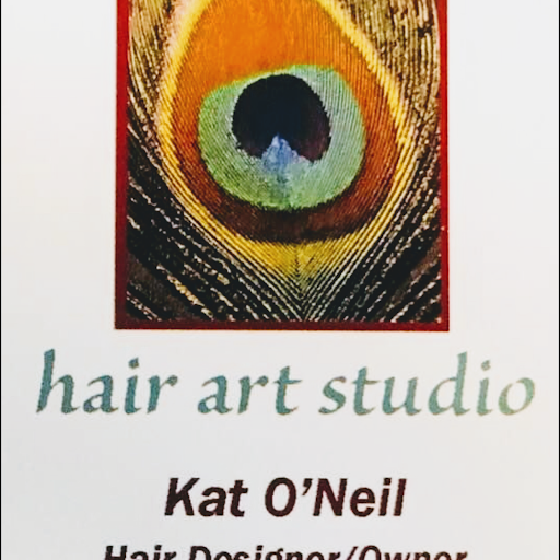 hair art studio logo