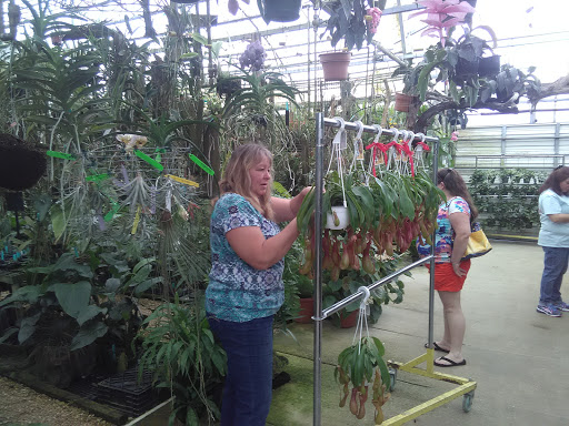 Plant Nursery «E.F.G. Orchids inc.», reviews and photos, 4265 Marsh Rd, DeLand, FL 32724, USA