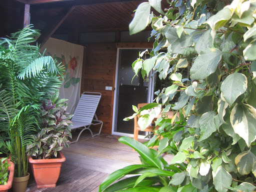 Hotel Rangiroa Pension Bounty