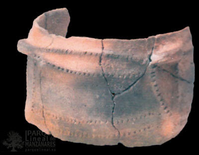 Restos de cerámica neolítica encontrados en La Deseada. Fuente: "La Tierra apropiada" CAM.
