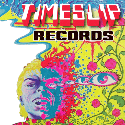 Time Slip Records - Vinyl Records, CDs, Rock & Pop Memorabilia & Musical Instruments logo