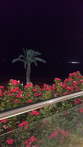 Leonardo Privilege Hotel Dead Sea - All Inclusive