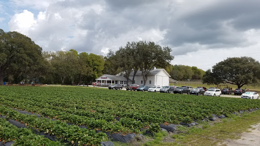 Farm «Oak Haven Farms», reviews and photos, 32418 Avington Rd, Sorrento, FL 32776, USA