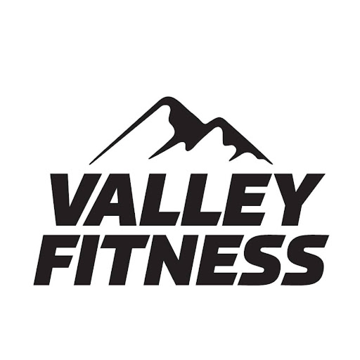 Valley Fitness logo