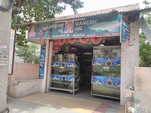 Lakshmi Ganesh Aquarium, Opp.JNTU, Pragathi Nagar Rd, Kukatpally, Pragathi Nagar, Hyderabad, Telangana 500090, India, Aquarium, state TS