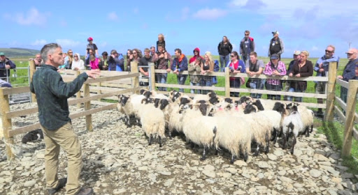 Glen Keen Farm & Visitor Centre