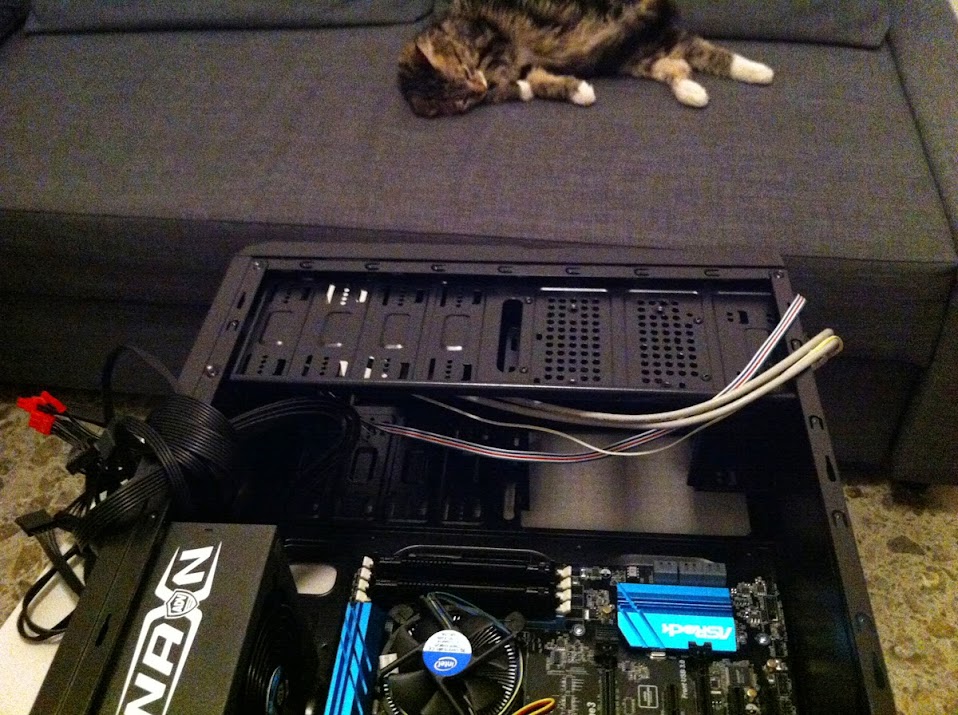 Tencar assembla un pc ed un gatto dorme