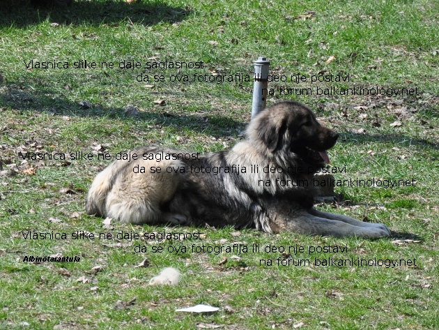 DSC_0189w.JPG