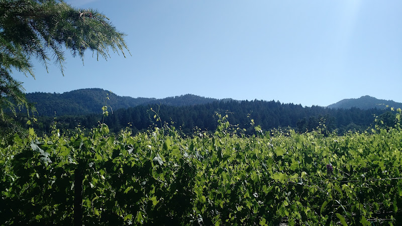 Main image of Helena View Johnston Vineyards