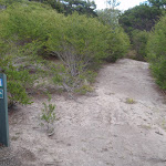 Arrow marker through the heath (104581)